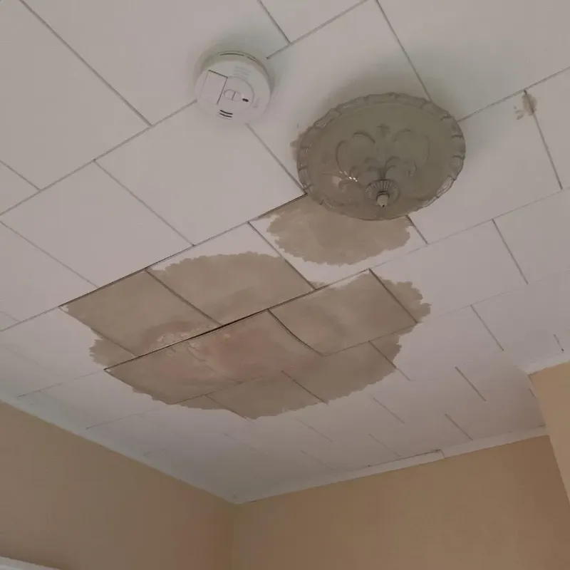 Ceiling Water Damage Repair in New Paris, IN