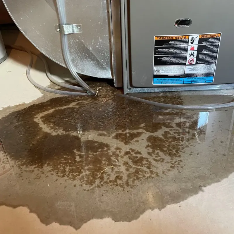 Pipe Burst and Leak Restoration in New Paris, IN